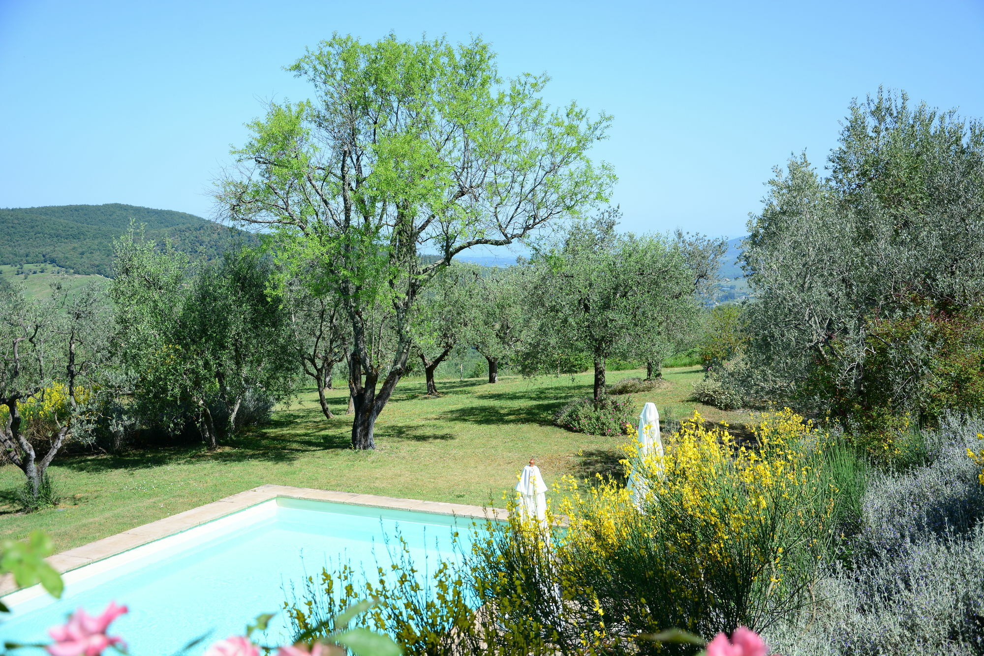 Relais Fattoria Valle Panzano in Chianti Exteriér fotografie